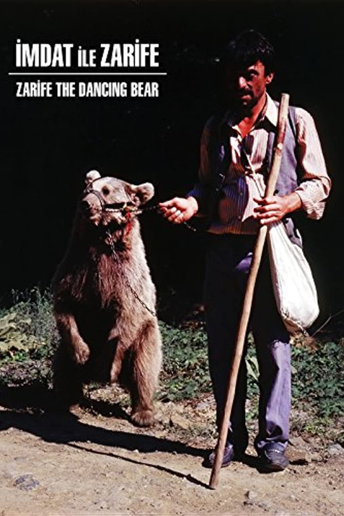 Zarifa The Dancing Bear Poster