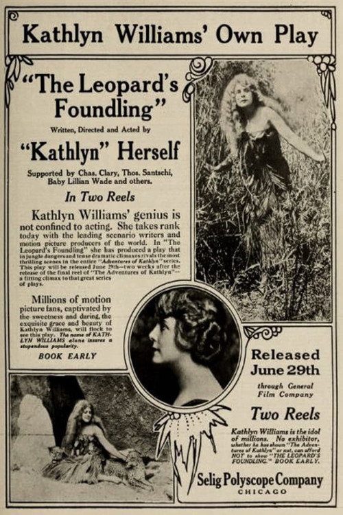 The Leopard's Foundling Poster