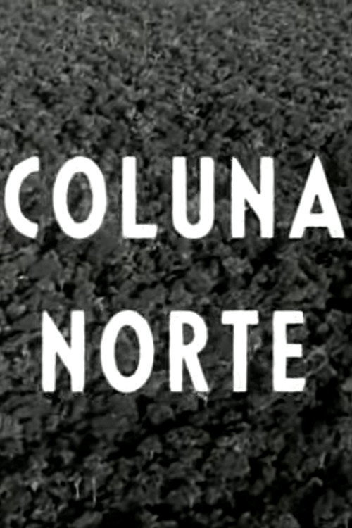 Coluna Norte Poster