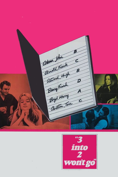 3 Into 2 Won't Go Poster