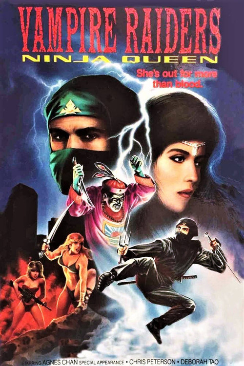 The Vampire Raiders Poster