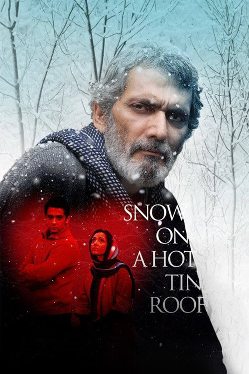 Snow on a Hot Tin Roof Poster