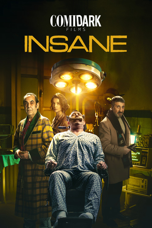 Comidark Films 2: Insane Poster