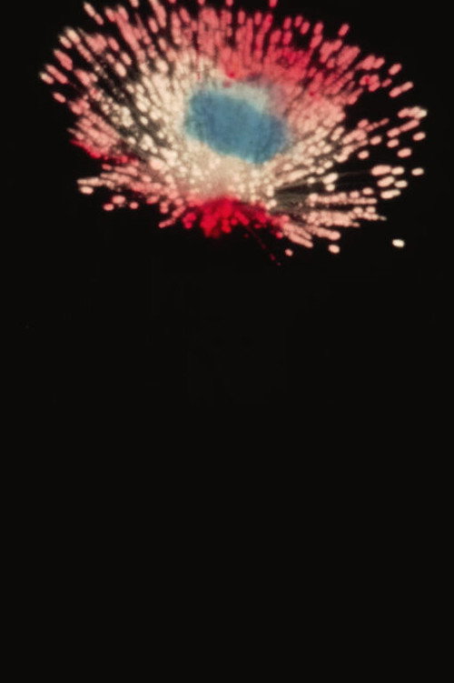 La Fontaine Lumineuse du Parc Lafontaine / Feu d’Artifice Poster