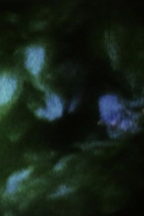 Field of Memories: Prelude Poster