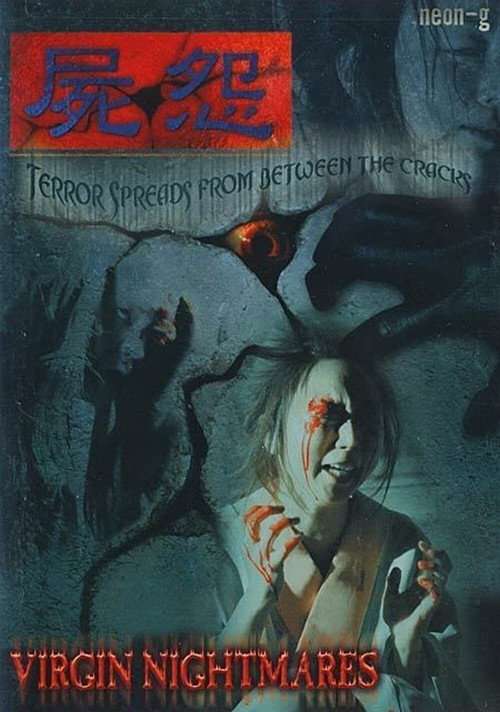 Virgin Nightmares Poster