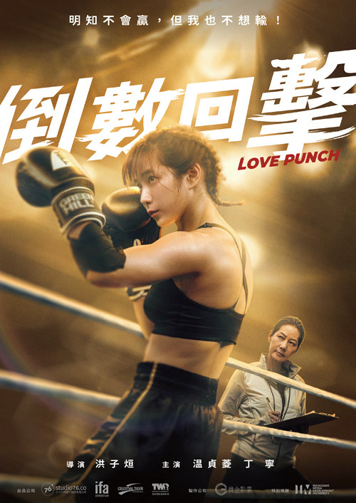 Love Punch Poster