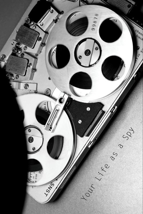 Your Life as a Spy Poster