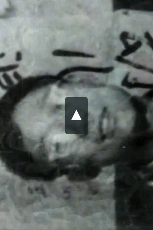 Chairman Mao - The Last Emperor Poster