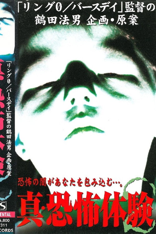 True Horror Experience 2 Poster