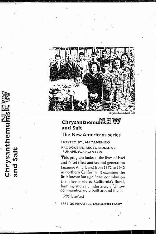 Chrysanthemums and Salt Poster