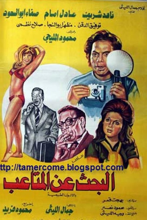 Looking for Troubles Poster