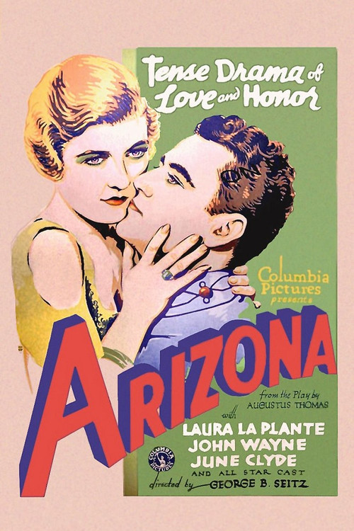 Arizona Poster