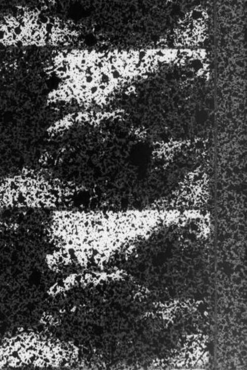 Signal Poster