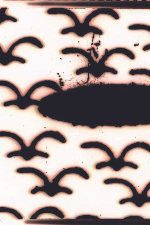 Alchemy of the Word Poster