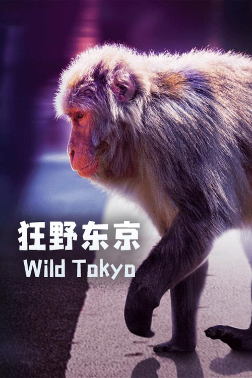 Wild Tokyo Poster