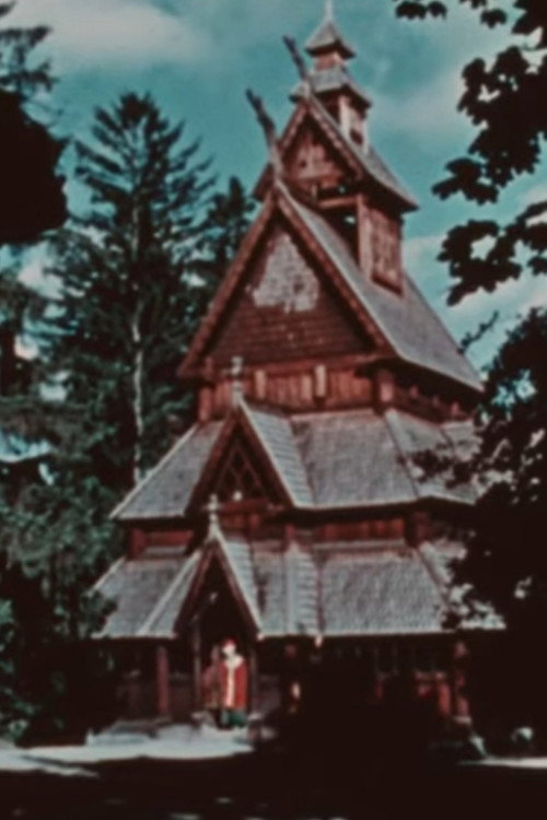 The Vikings: Life And Conquests Poster