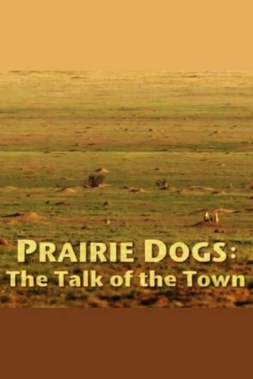 Prairie Dogs: Talk of the Town Poster