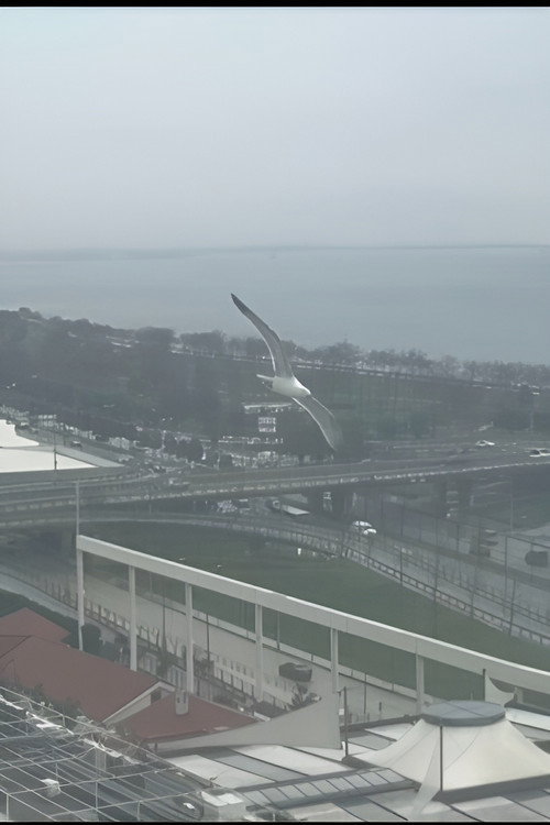 Trip To Turkey Poster