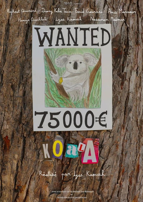 Koala Poster