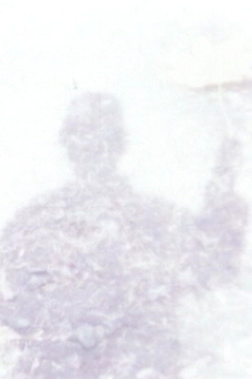All Alone Poster