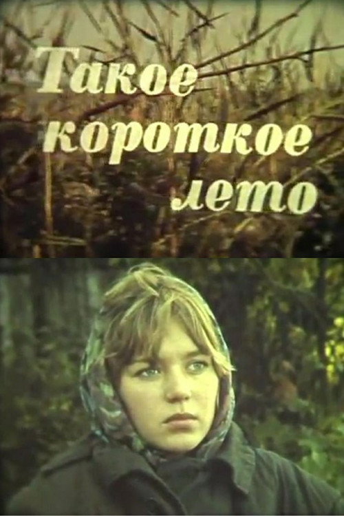 Such a Short Summer Poster