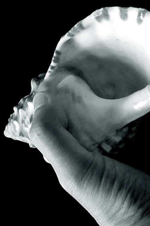 Gramophone No.13 Poster