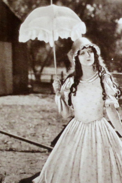 Crinoline and Romance Poster