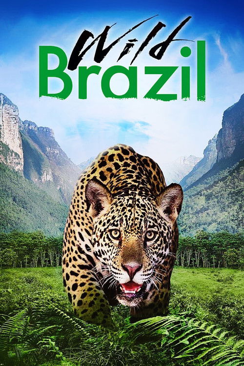 Wild Brazil Poster