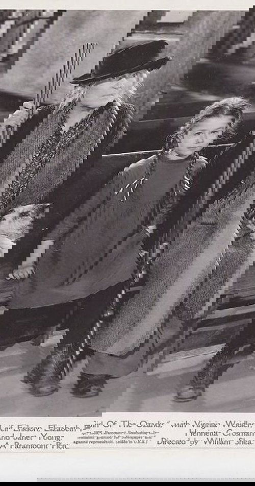 Girl of the Ozarks Poster