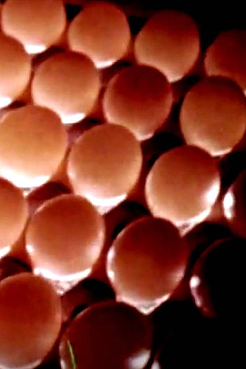 Eggs To Market Poster