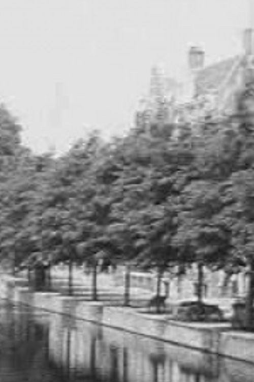 From Here and There in Haarlem Poster