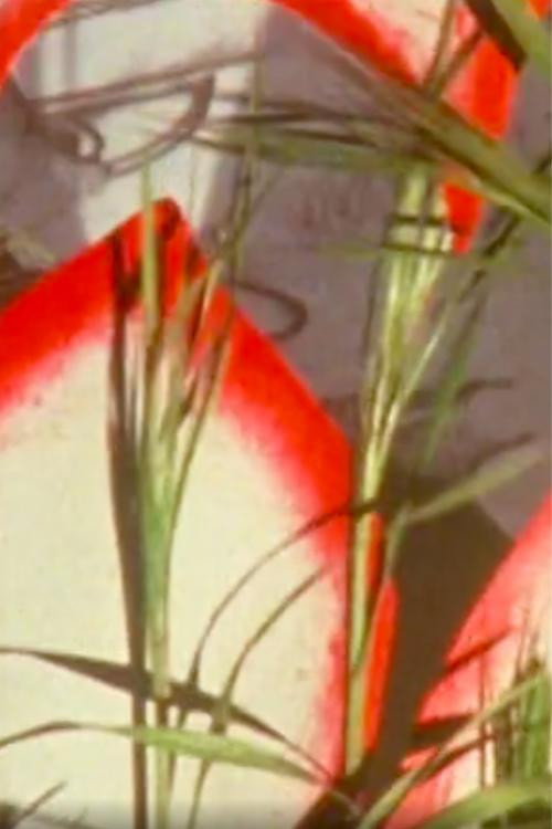 Monodie parsemée Poster