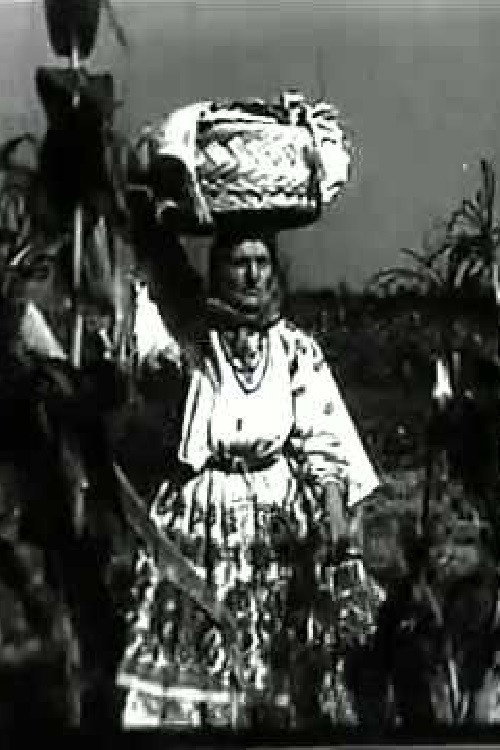 A Day at Turopolje Community Poster