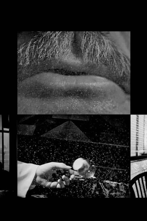 Cinema Study Poster