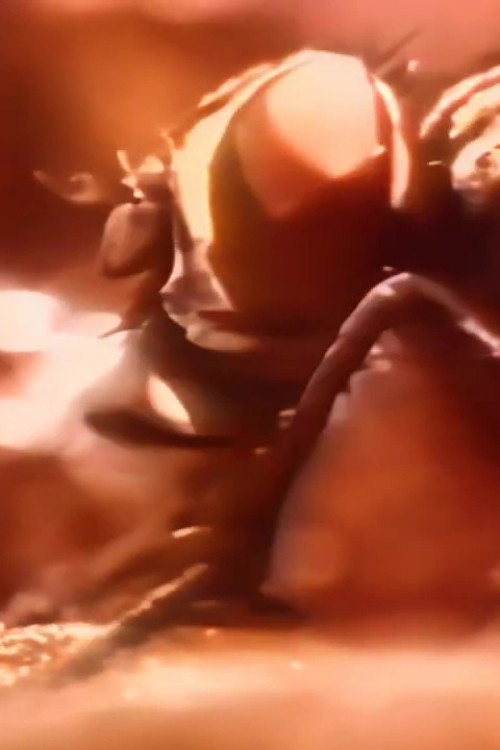 The Scavengers Poster