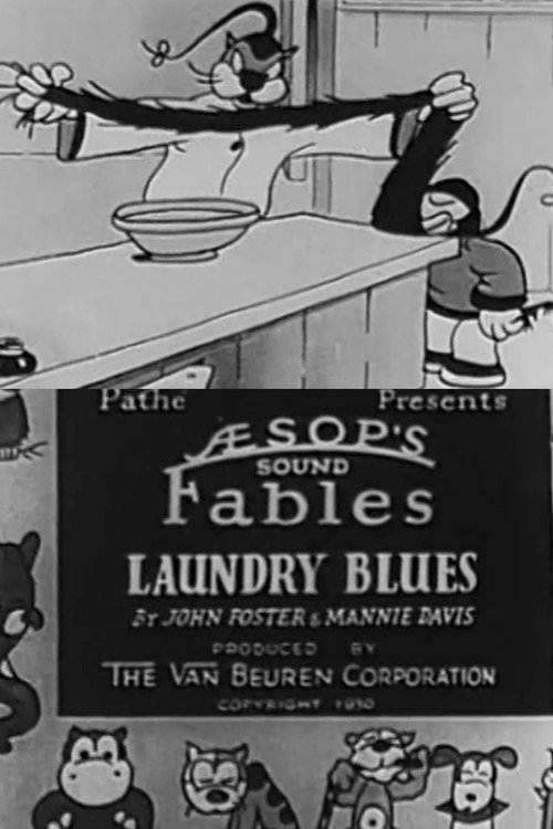 Laundry Blues Poster