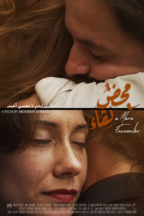 A Mere Encounter Poster