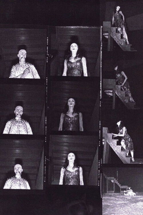 The Miraculous Mandarin Poster