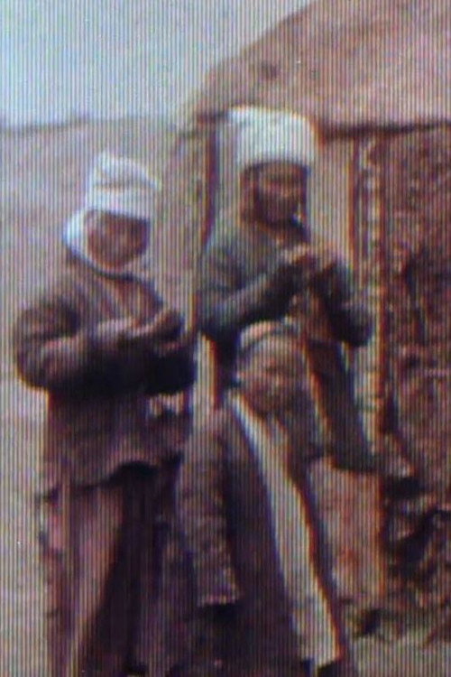 Sherriff Kodacolour No. 3 Poster