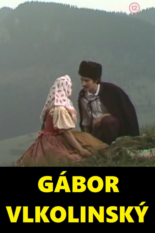 Gábor Vlkolinský Poster