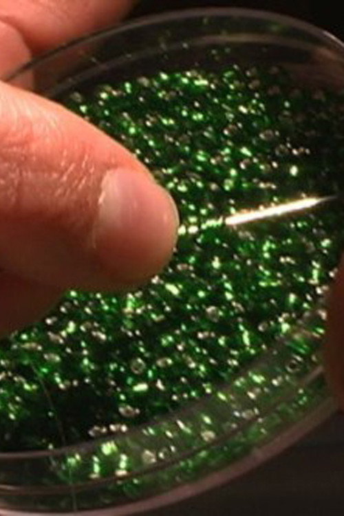 My Heart the Prophet Poster