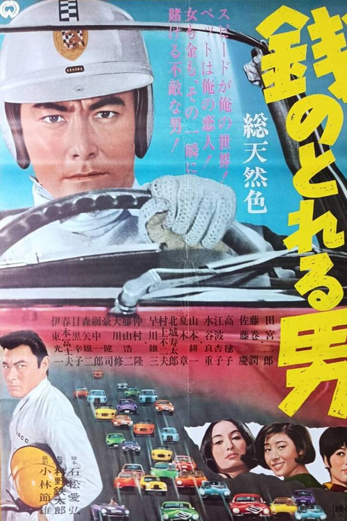 A Man Worth the Money Poster