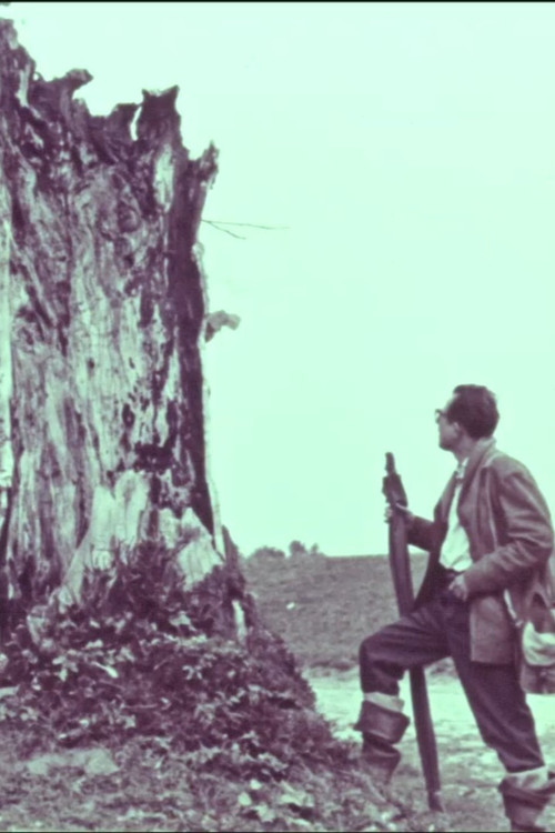 Painters of the Baltic Coast Poster