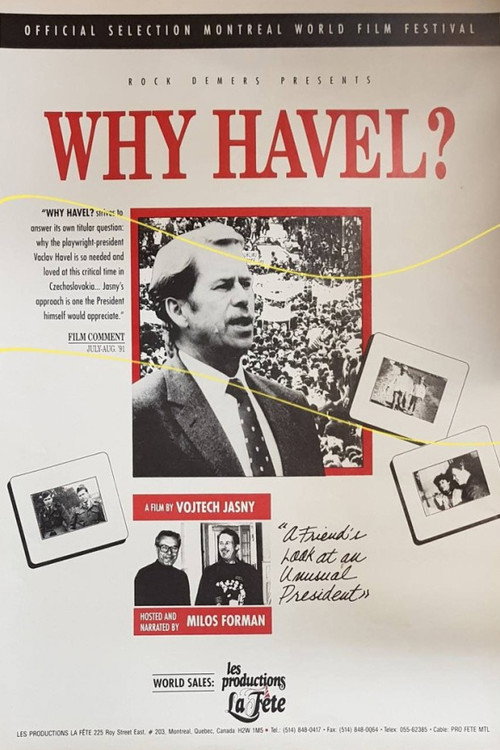 Why Havel? Poster