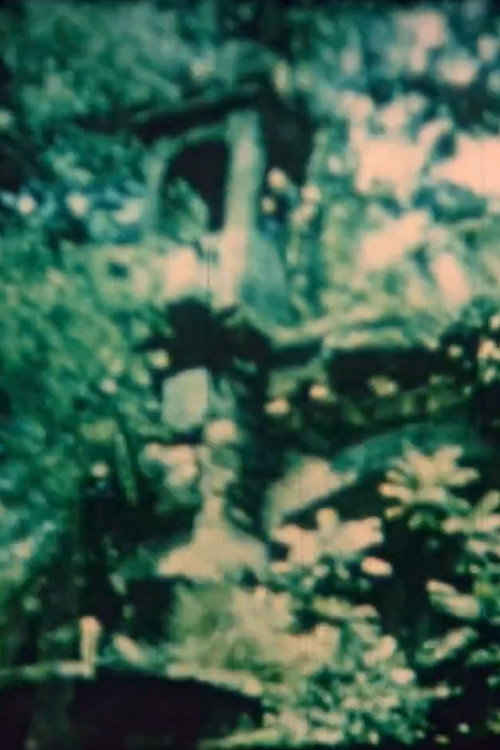 Melodic Inversion Poster