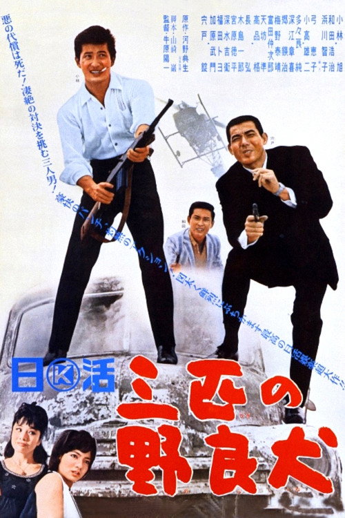 Three Stray Dogs Poster