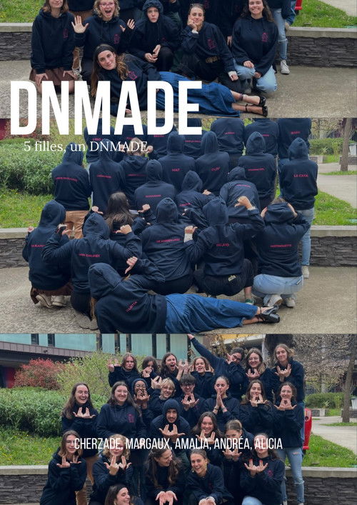 Spolier : On est en DNMADE Poster