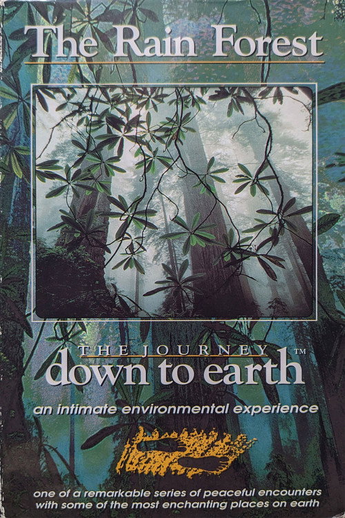 The Journey Down to Earth - The Rain Forest Poster
