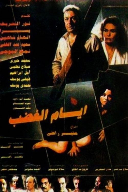 Days Of Anger Poster